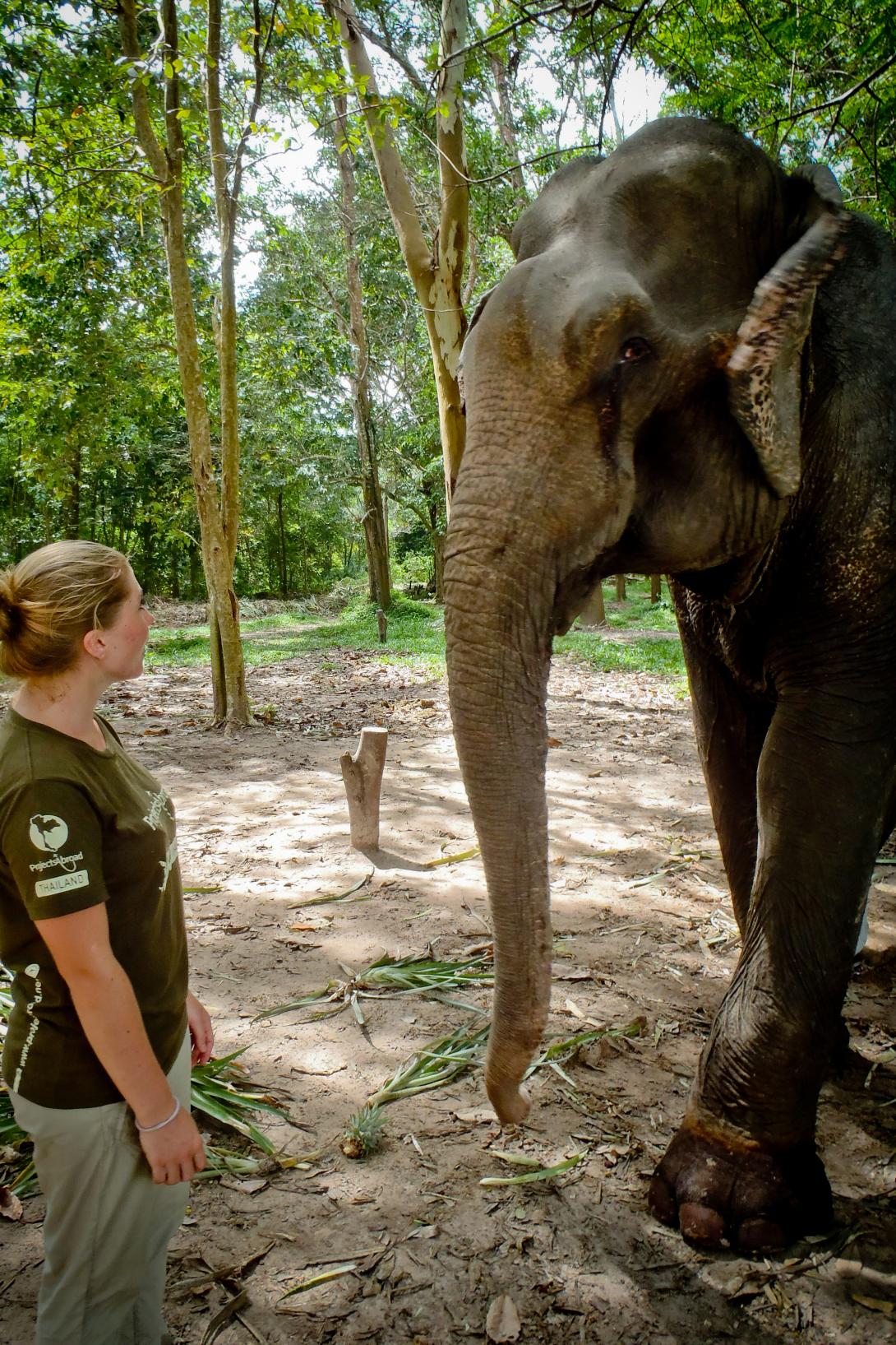 Wildlife Volunteers: 10 Animals That Need Your Help